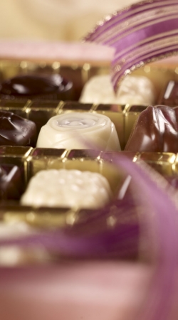 Sugar free and Gluten Free Belgian Chocolates